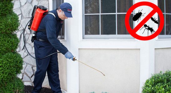 Düzköy Böcek İlaçlama böcek ilaçlama ve haşere kontrolü — ilaclama-tr.com